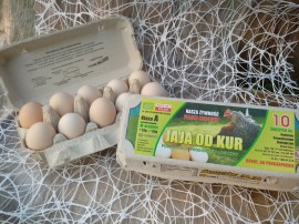 Jajka od szczęśliwych kurek 10 sztuk BIO - Michał Buksa
