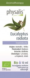 OLEJEK ETERYCZNY EUCALYPTUS RADIATA (EUKALIPTUS AUSTRALIJSKI) BIO 10 ml - PHYSALIS