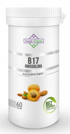 AMIGDALINA B17 (EKSTRAKT Z PESTEK MORELI 5:1) 260 mg 60 KAPSUŁEK - SOUL FARM