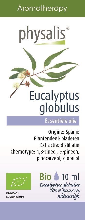 olejek-eteryczny-eucalyptus-globulus